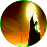 لطميات استشهاد السيدة زينب (ع)