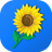 Gallery APK