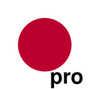 Hiragana/Katakana Drill Pro APK