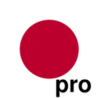 Hiragana/Katakana Drill Pro icône