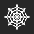 Email Scraper | Extractor