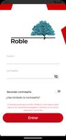 ROBLE poster