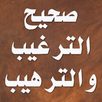 صحيح الترغيب والترهيب APK