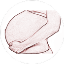 Pregnancy weeks APK