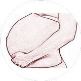Pregnancy weeks icon