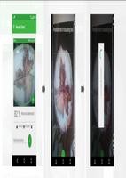 Necrosis Detector الملصق