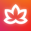 Meditative Mind: Healing Music APK