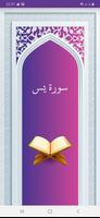سوره یاسین صوتی با ترجمه poster