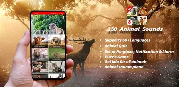 150 Animal Sounds