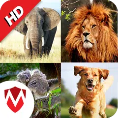 download 150 Versi degli animali APK