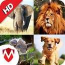 150 Animal Sounds APK