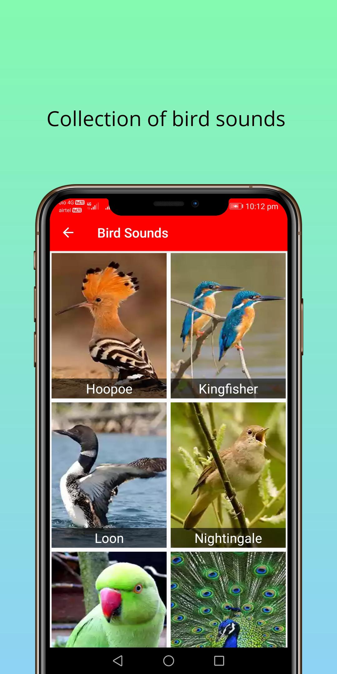 150 Animal Sounds APK for Android Download 150 Animal Sounds APK for Android Download