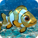 Captain Nemo - Toddler & Kids Games Free icône