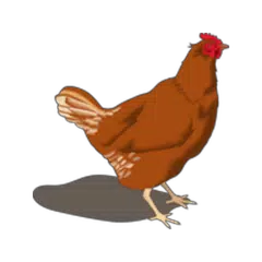 Poultry Manager 2.0 APK download