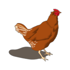 Poultry Manager-icoon