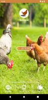 Poultry Manager الملصق