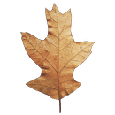 PlantList APK