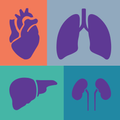 Transplant Referrals at NYU La