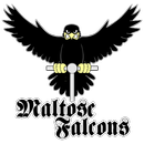 Maltose Falcons Style Guidelines APK