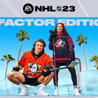 NHL 圖標