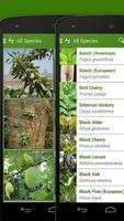 iKnow Trees 2 LITE syot layar 3