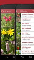 Wild Berries and Herbs 2 LITE تصوير الشاشة 3