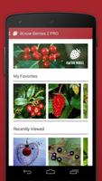 Wild Berries and Herbs 2 LITE تصوير الشاشة 1