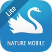 iKnow Birds 2 LITE - Europe