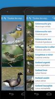 Les Oiseaux 2 LITE - Europe capture d'écran 3