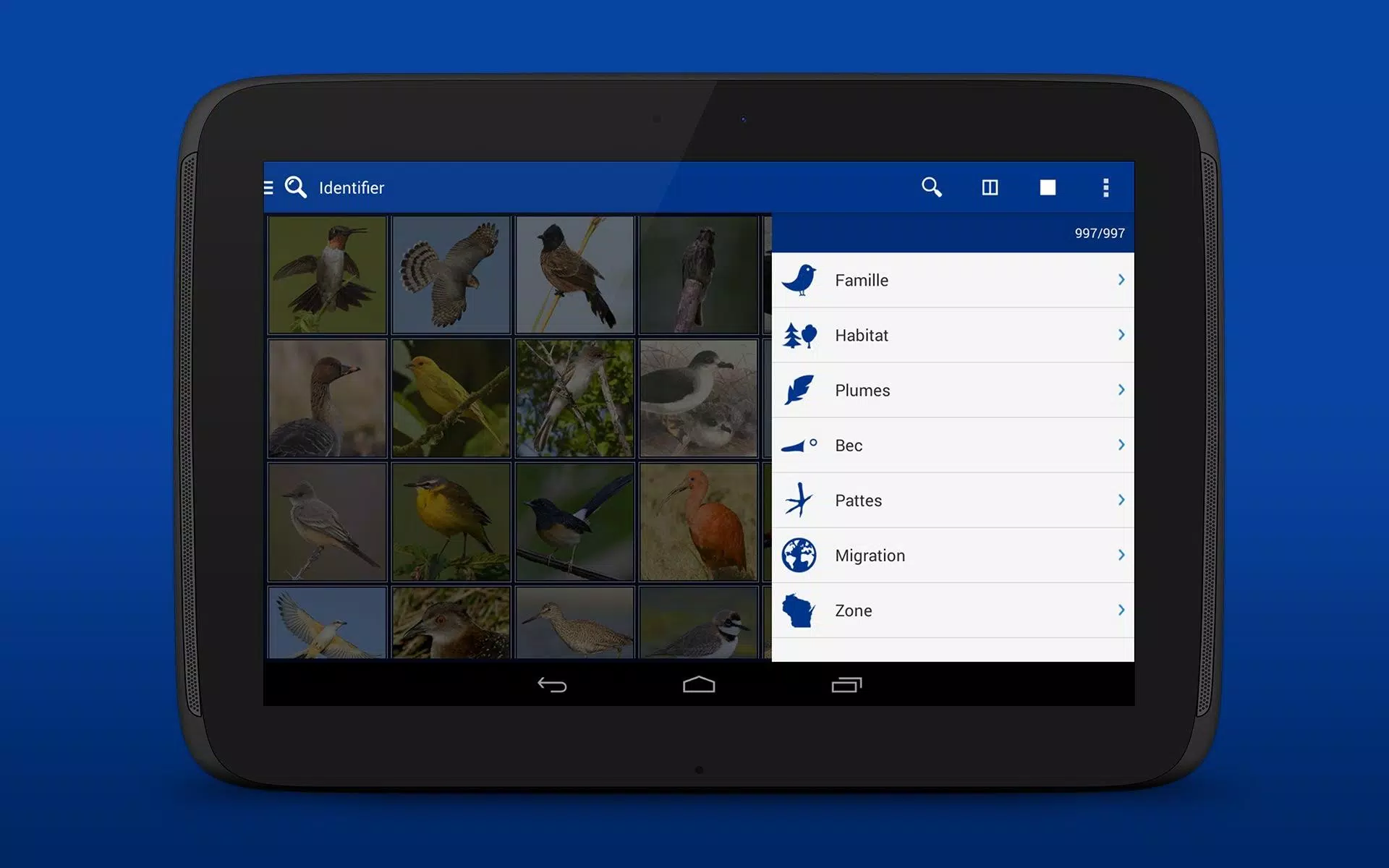 Les Oiseaux 2 LITE - USA CA MX APK pour Android Télécharger