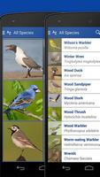 iKnow Birds 2 LITE - USA স্ক্রিনশট 3