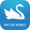 iKnow Birds 2 PRO - Europe APK