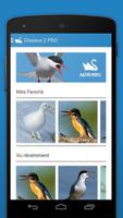 Les Oiseaux 2 PRO - Europe capture d'écran 1