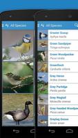 iKnow Birds 2 PRO - Europe imagem de tela 3