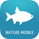 Fische 2 PRO APK