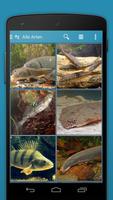 Fish 2 PRO - Field Guide screenshot 3