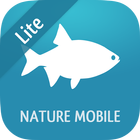 Fische 2 LITE simgesi