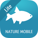 Fische 2 LITE aplikacja