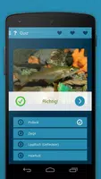 Fische 2 LITE 스크린샷 7