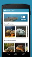 Fische 2 LITE Ekran Görüntüsü 1