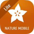 Exotic Fruits & Vegetables 2 L أيقونة