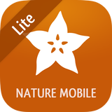 Exotic Fruits & Vegetables 2 L أيقونة