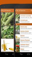Exotic Fruits & Vegetables 2 L تصوير الشاشة 3