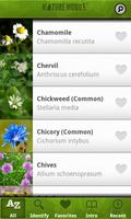 Medicinal Plants PRO تصوير الشاشة 1