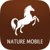 iKnow Horses 2 PRO Mod apk última versión descarga gratuita