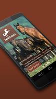 iKnow Horses 2 PRO পোস্টার