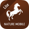 iKnow Horses 2 LITE APK