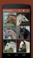 iKnow Horses 2 LITE screenshot 3