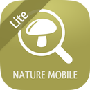 Pilzlexikon 2 LITE APK