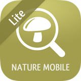 Pilzlexikon 2 LITE أيقونة